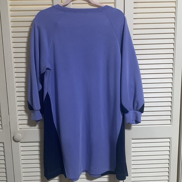 The Limited Dress - Picture 5 of 7